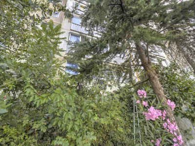 2-к квартира 52 м² 3/5 эт., Пионерская — миниатюра 35